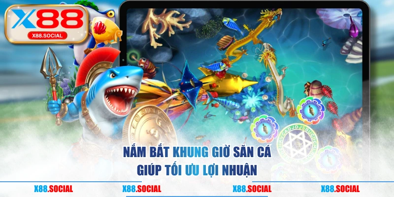 Nắm bắt khung giờ săn cá giúp tối ưu lợi nhuận